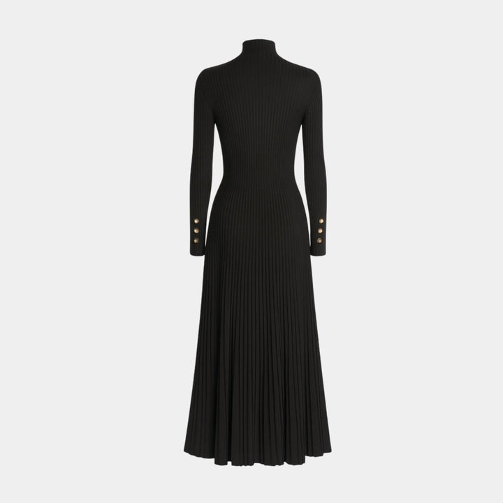 Kim — Pleated Knit Midi Dress for Women with Turtleneck (5)